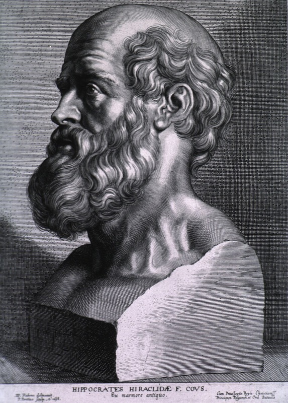Hippocrates rubens (Hippocrates)