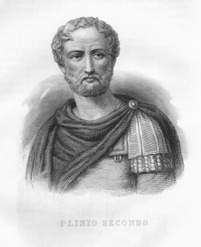 Grande Illustrazione del Lombardo Veneto Vol 3 Plinio Secondo 300dpi (Pliny the Elder)