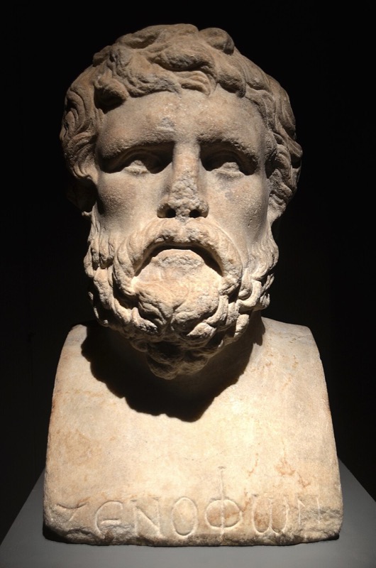 Bust of Xenophon (Xenophon)